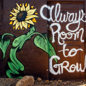 Always Room to Grow