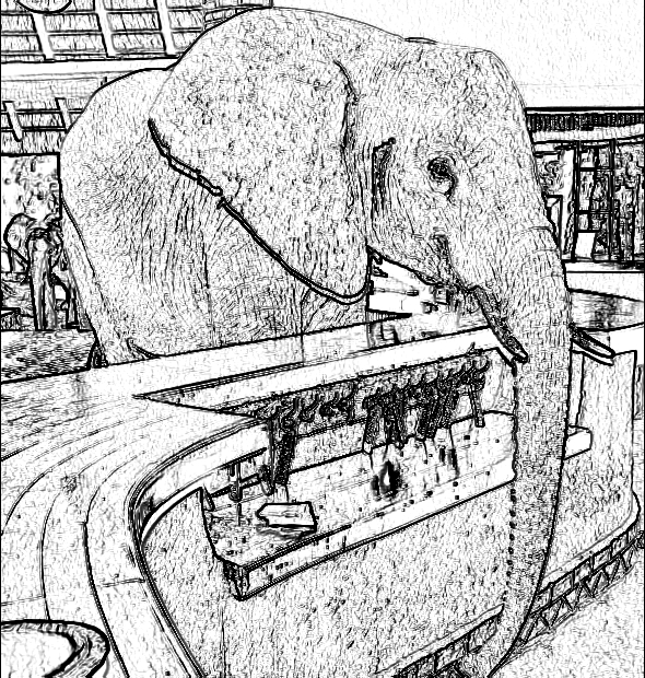 Elefant in the room