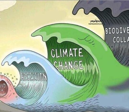 Waves of global disasters - Meme